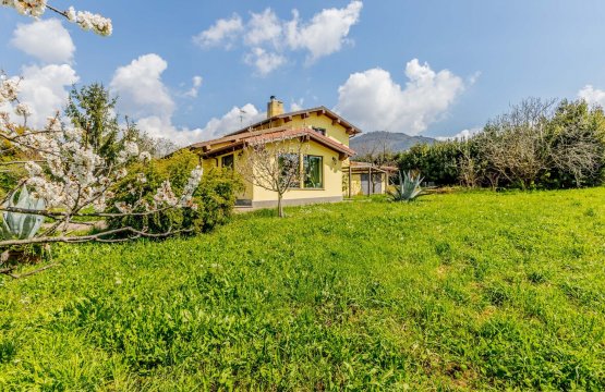Para venda Moradia Zona tranquila Roma Lazio